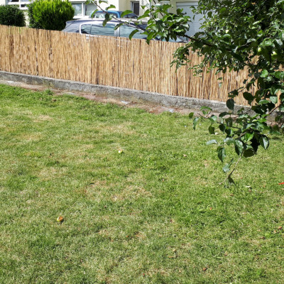 Garten Garten